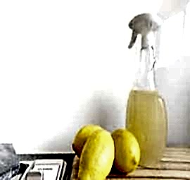 Ekolojik Ürünler ve Ekolojik Temizlik