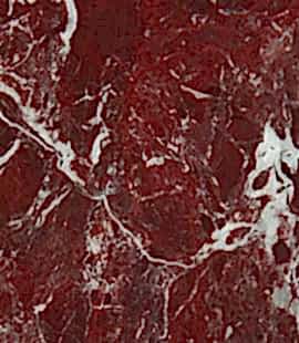 Gözde Mermerler Elazığ Vişne, Marmara Zebra